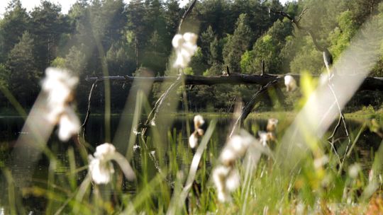 5 powodów, dla których warto odwiedzić Mazury Zachodnie w 2024 roku