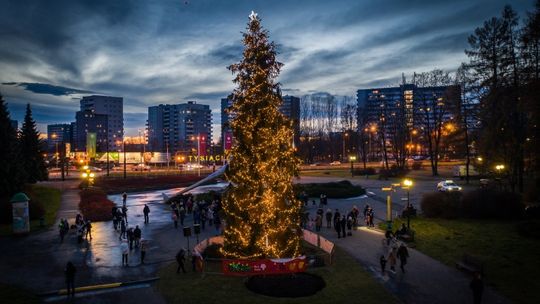 Artyści z Teatru Rozrywki zaśpiewają kolędy pod Żyrafą