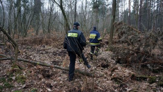 Jak nie zgubić się na grzybach