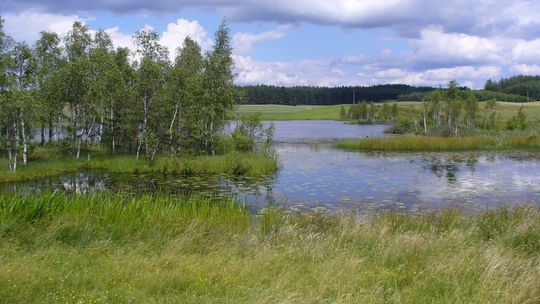 Kaszuby i domki całoroczne: przygoda na weekend dla całej rodziny