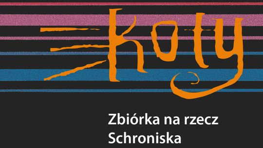 "Koty" - kotom i nie tylko. Zbiórka na rzecz bezdomnych zwierząt w Teatrze Rozrywki