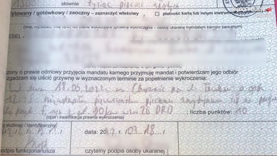 Nie ustąpiła pierwszeństwa pieszemu. Teraz zapłaci spory mandat