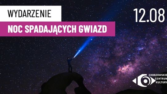 Noc Perseidów w Parku Śląskim