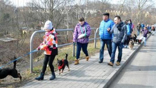 Parada kundelków w Chorzowie za nami [WIDEO+ZDJĘCIA]