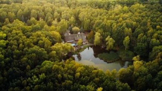 Park Śląski daje schronienie przed smogiem