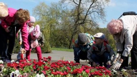 "Park Śląski. Tu się sadzi"