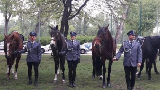 Policja konna ćwiczyła na Węgrzech [ZDJĘCIA]