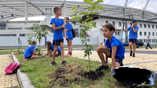 Posadzono Diamentowe Drzewa! Zwycięzcy zostaną na Śląskim na zawsze