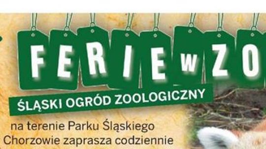 Promocyjne bilety w zoo na ferie