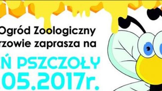 Pszczoły atakują!