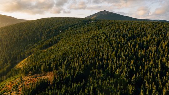 Sky Walk Czechy: unikalna atrakcja turystyczna w Europie