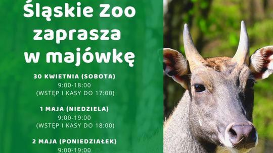 Śląski Ogród Zoologiczny zaprasza w majówkę