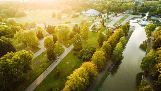 Spore zmiany w Parku Śląskim. Strefa bez samochodów i innowacyjny system parkingowy