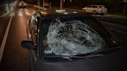 Tragiczny bilans na śląskich drogach w wypadkach z udziałem pieszych