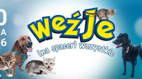 Weź Je Wszystkie!