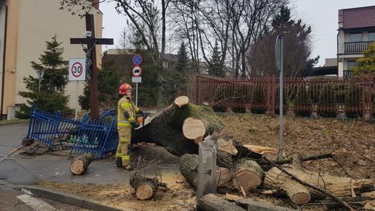 Wichura w Chorzowie wyrywała drzewa, zrywała elementy elewacji i niszczyła samochody [ZDJĘCIA]