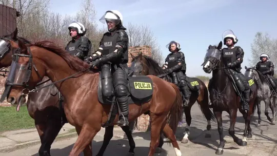 Wspólne ćwiczenia prewencji i policji konnej w Chorzowie