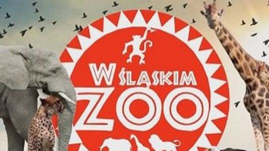 Wykop: Śląskie ZOO we własnym serialu telewizyjnym zdradza swoje tajemnice!