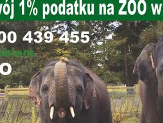 1% dla Zoo