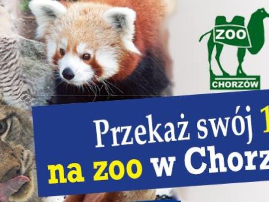 1% podatku na Śląski Ogród Zoologiczny