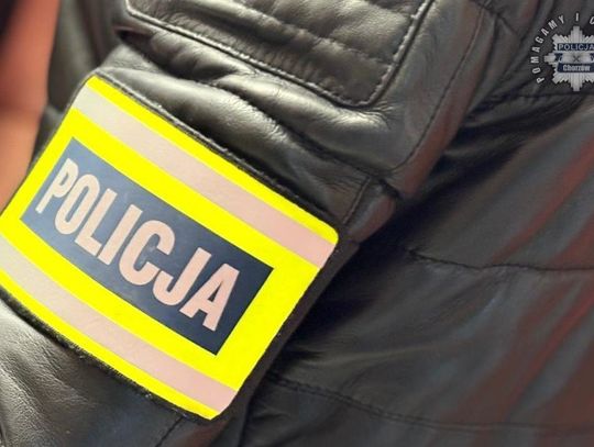 103 kontrole i 66 ujawnionych wykroczeń. To bilans jednodniowych działań pod nazwą „Jednoślad”