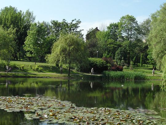 2,5 mln złotych na chorzowskie stawy