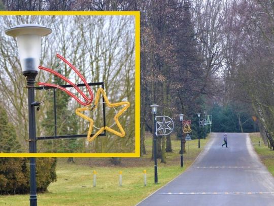 200 nowych latarni LED oświetli dodatkowe miejsca w Parku Śląskim