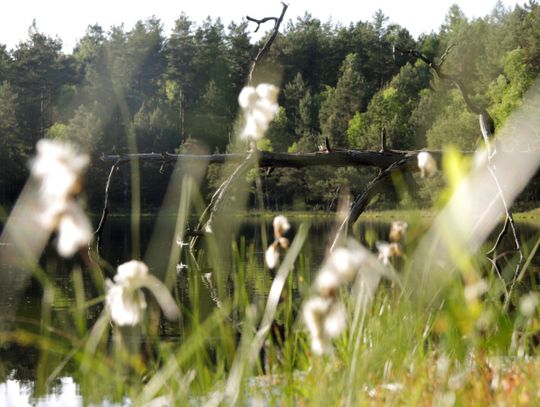 5 powodów, dla których warto odwiedzić Mazury Zachodnie w 2024 roku