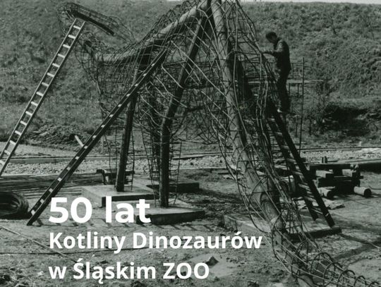 50 lat Kotliny Dinozaurów w Śląskim ZOO – prehistoria w nowoczesnej odsłonie