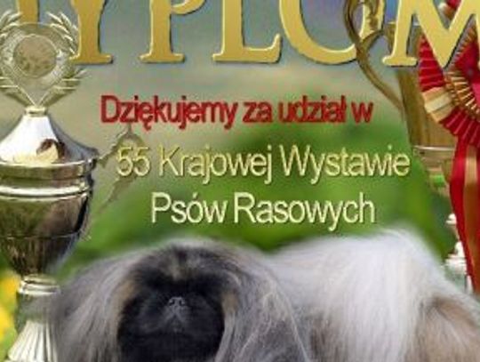 56. Krajowa Wystawa Psów Rasowych