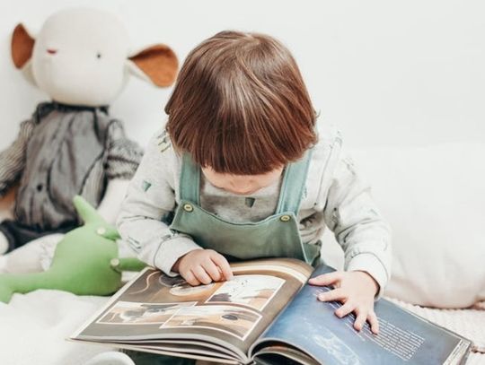 8,9 tys. wniosków o 500+ w jeden dzień w Chorzowie. Trwa nabór na nowy okres świadczeniowy