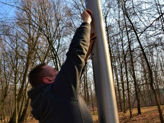 Aleja Leśna w pełni oświetlona