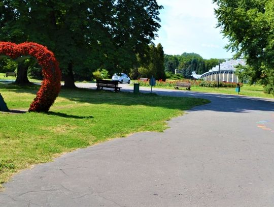 Aleje w Parku Śląskim zyskują nowoczesną nawierzchnię 