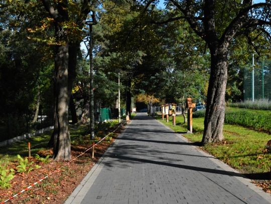 Alejka Obserwatorów Przyrody już gotowa! [ZDJĘCIA]