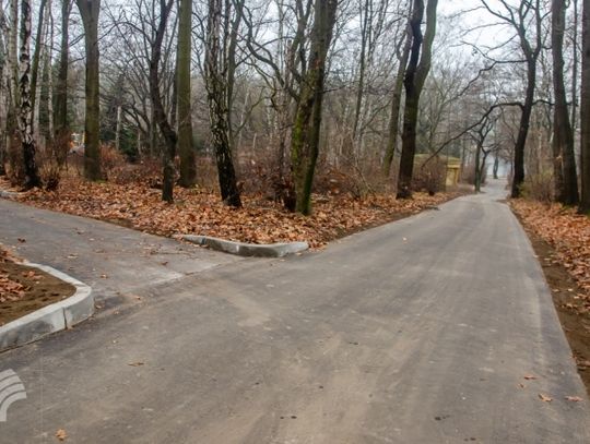 Alejki przy kręgach tanecznych czekają na spacerowiczów 