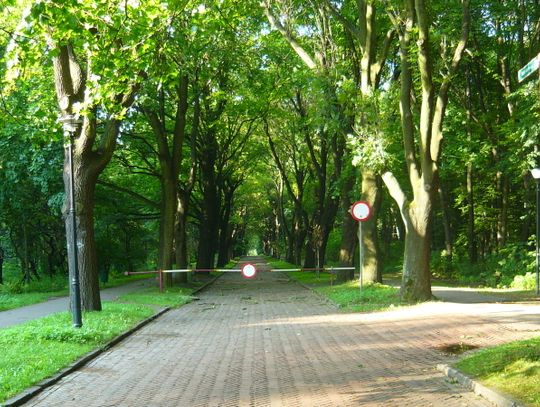 Andrzej Kotala komentuje plany prezydenta Katowic