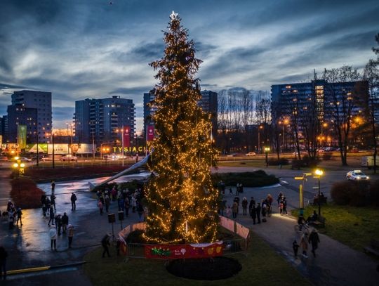 Artyści z Teatru Rozrywki zaśpiewają kolędy pod Żyrafą