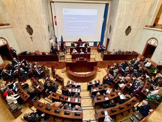 Audyt krajobrazowy przyjęty. Marek Kopel: “Jestem oczywiście bardzo zadowolony”