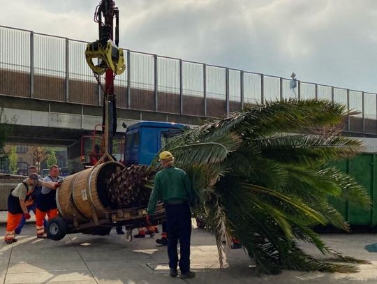 Bercik i Truda już na rynku