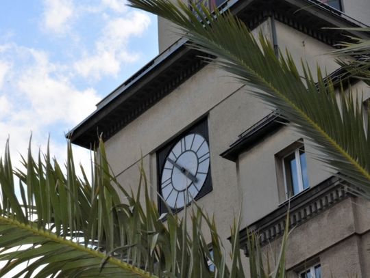 Bercik wrócił do domu