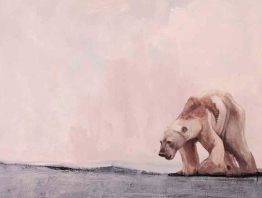 Biały niedźwiedź trafi do Śląskiego Ogrodu Zoologicznego