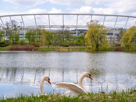 Bilet Wspólny w TAURON Parku Śląskim – dostępny tylko do 30 września 2025