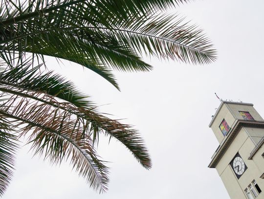 Budżet Chorzowa 2026: historyczne dochody, rekordowy deficyt. Oto lista najważniejszych wydatków inwestycyjnych