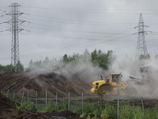 CEZ przedstawił komunikat ws. usuwania uciążliwej biomasy