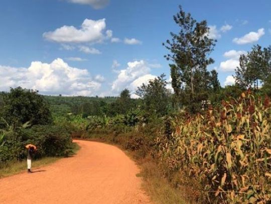 Chorzów ponownie pomoże mieszkańcom Rwandy