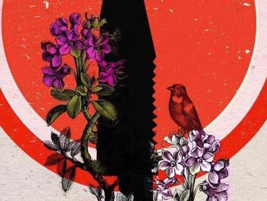 Chorzów przeciwko przemocy i nienawiści