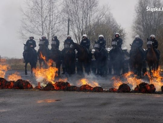 Chorzów straci oddział policji konnej? 