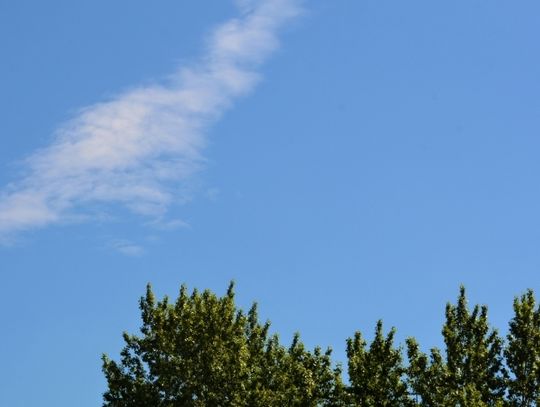 Chorzów zaciągnie pożyczkę na walkę z niską emisją