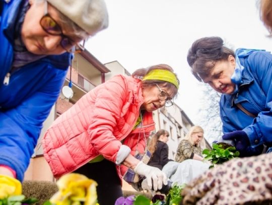 Chorzów zakwitnie międzypokoleniowo