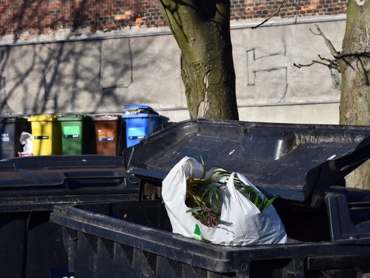 Chorzów zaleje fala śmieci? Umowa z PTS ALBA wygasa za kilka dni